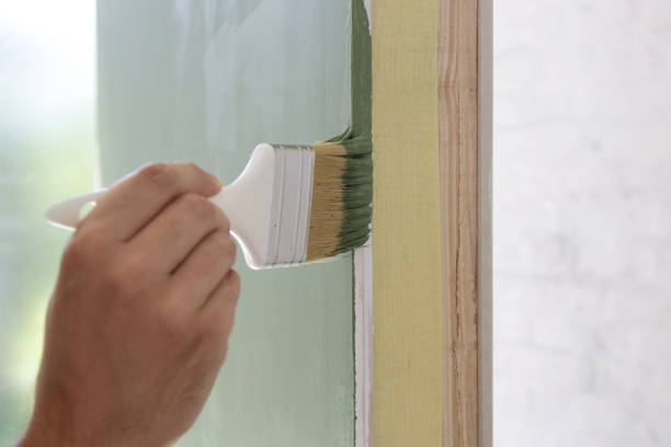Best Black Mold Removal  in Asheville, NC