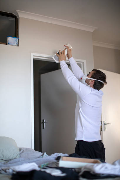 Best Real Estate Mold Inspection  in Asheville, NC