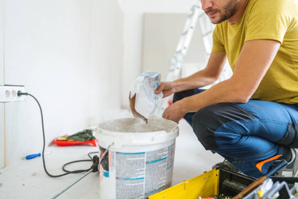 Best Mold Remediation for Rental Properties  in Asheville, NC