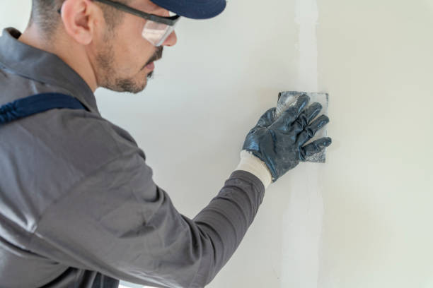 Best Mold Prevention Services  in Asheville, NC