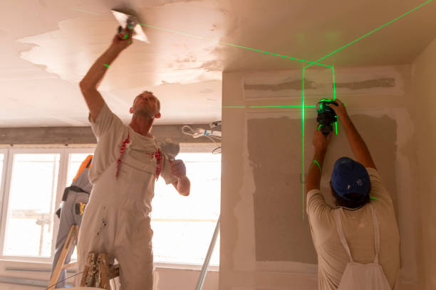 Best Crawl Space Mold Remediation  in Asheville, NC