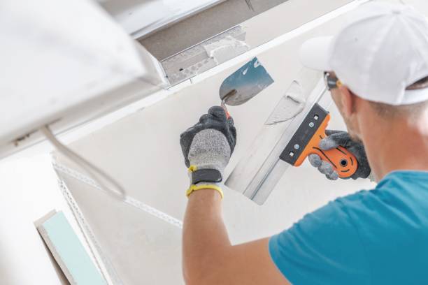 Mold Remediation for Rental Properties in Asheville, NC